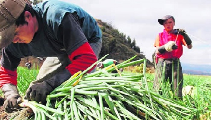 Foto tomada de: eltiempo.com